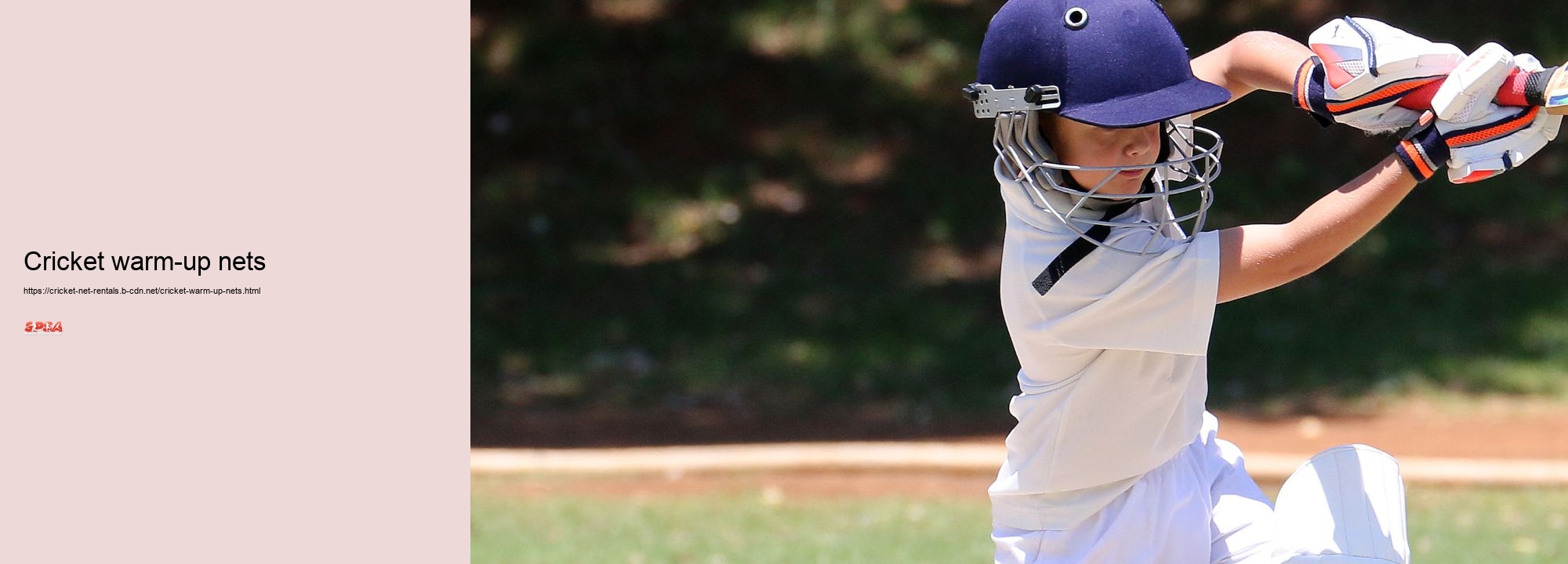 Cricket warm-up nets